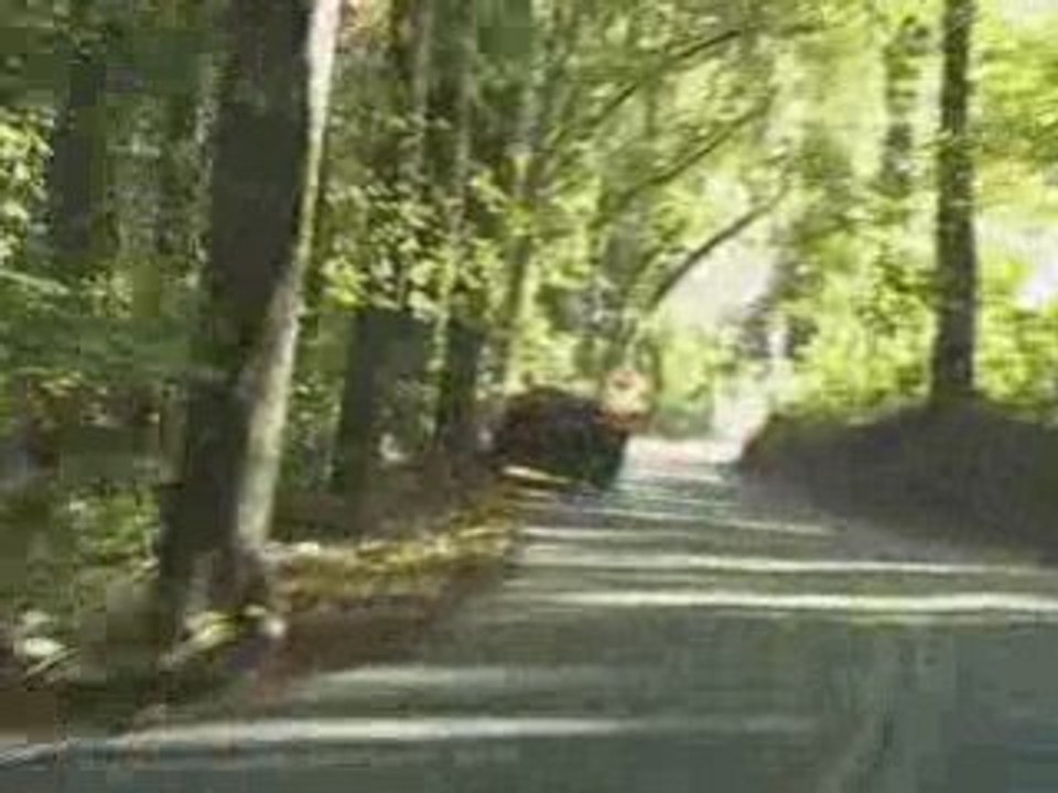 Corvette en perte d'adherence