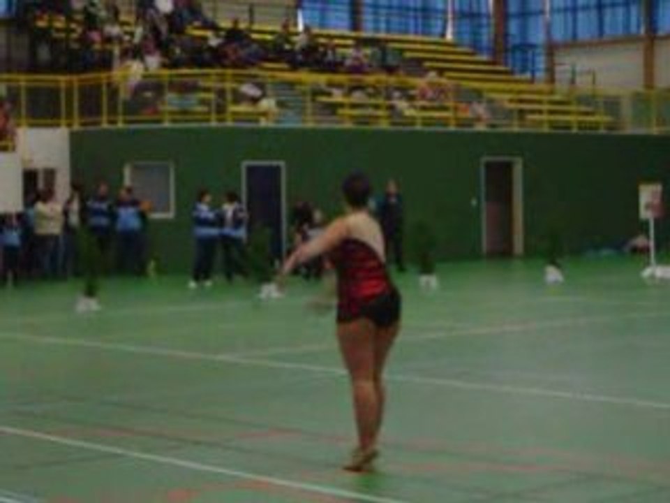 Milie7900 double baton 2