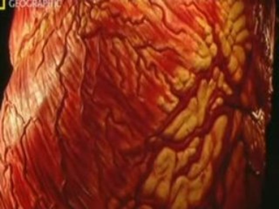 Frappe Par La Foudre 1/4