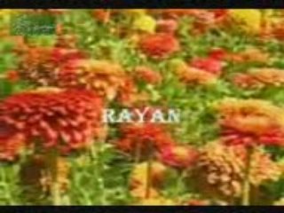 Tajwid Coran.Rayan (Macha Allah).Suite.