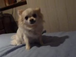 26  fevrier 2009 THAIS , avec son fils Diam's 086