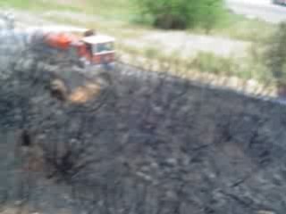 quelques 2000m² de végétation en moins  pas dramatique