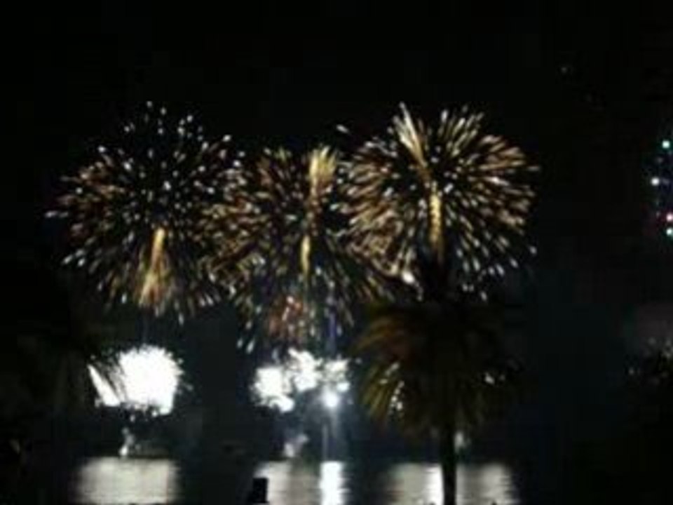 2009 02 28 Carnaval 2009 et feux du 01 mars 082