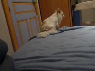 26  fevrier 2009 THAIS , avec son fils Diam's 087