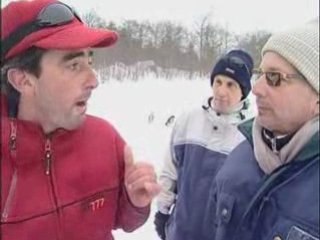 Chiens de traîneaux