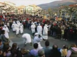 Ours de prats de mollo