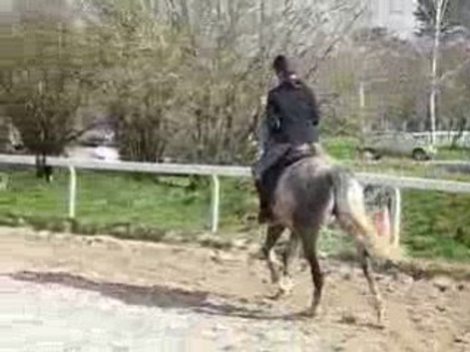 Ucpa 28 fevrier 2009 024