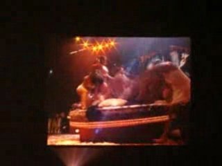 Pink concert au sportpaleis d'anvers - So What -