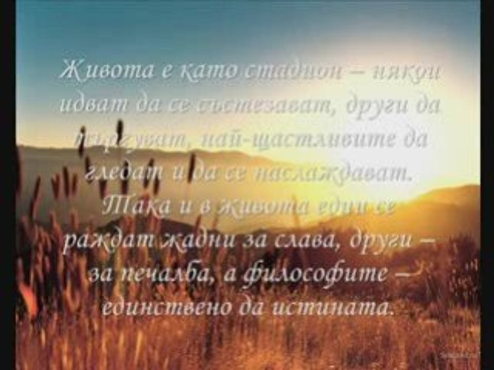 Мъдри Мисли