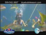 Blue bubbles scuba and snorkeling adventures – scuba diving