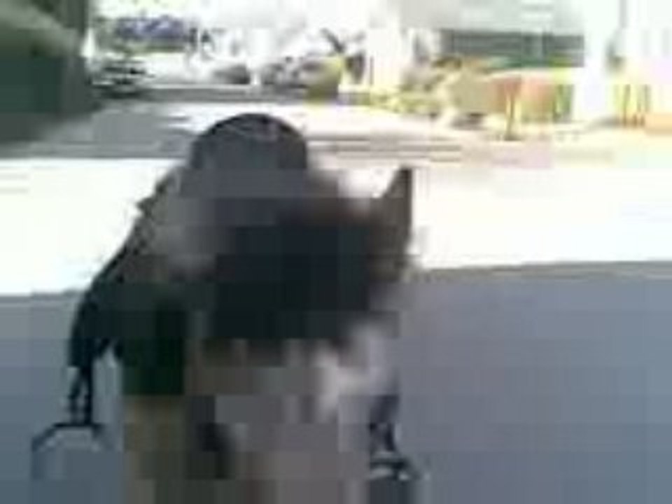 TAILA PONETTE A VENDRE NEE EN 2007 MAI