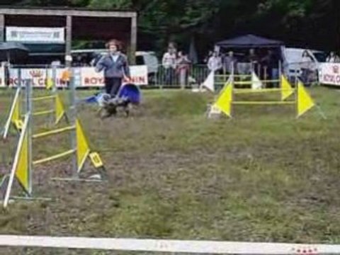 st priest bramefant 2008 Jumping pepsi