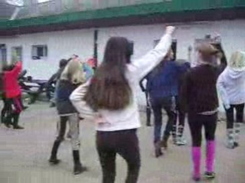 St Léger  février - Cotton eyed joe