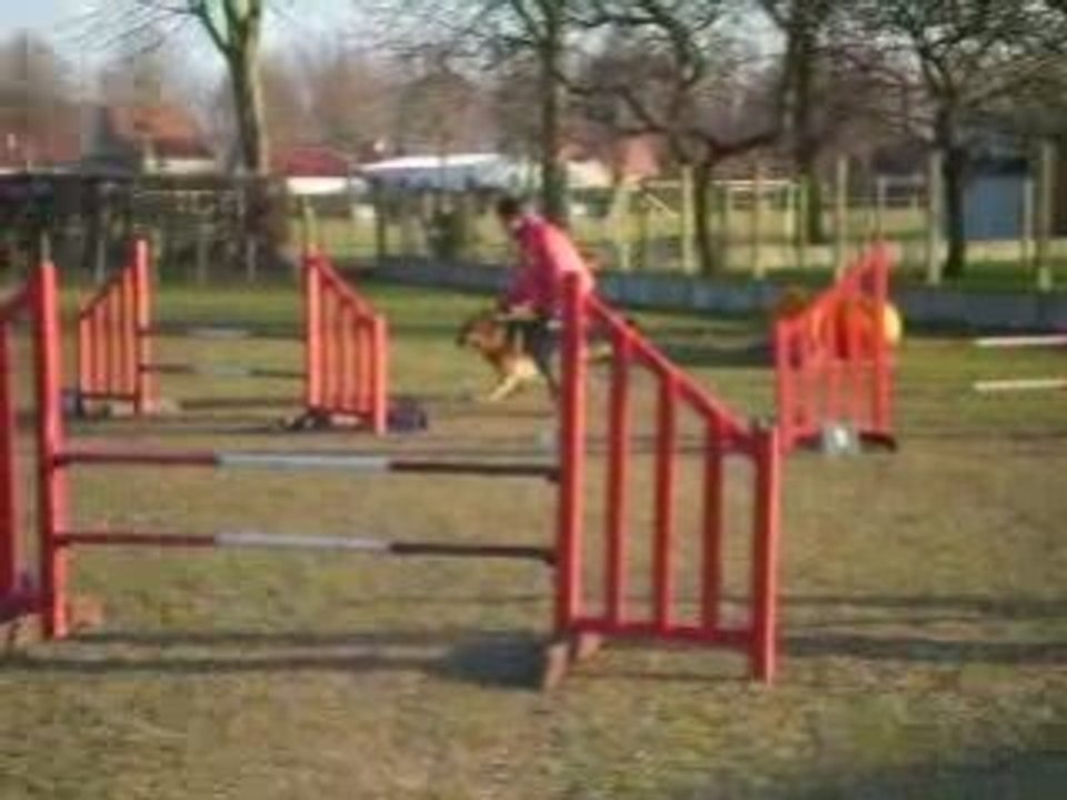 Entraînement agility César 15-02-09.