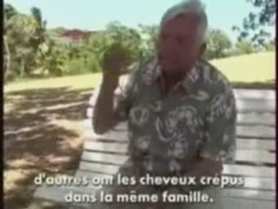 Perquisition à canal plus