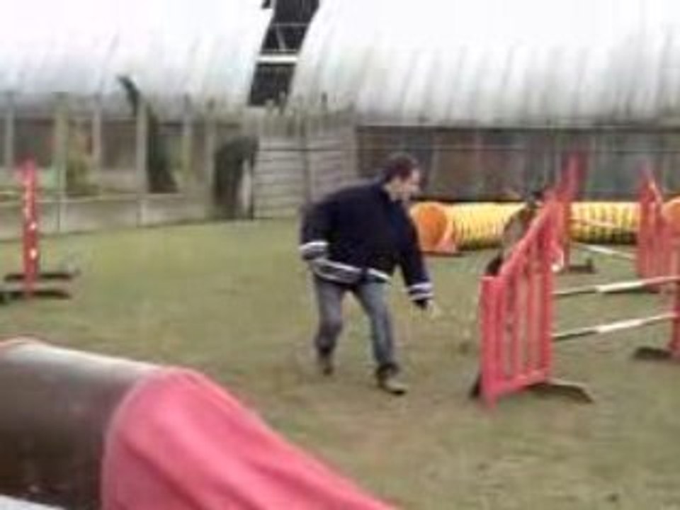 Entraînement agility César 22-02-09.