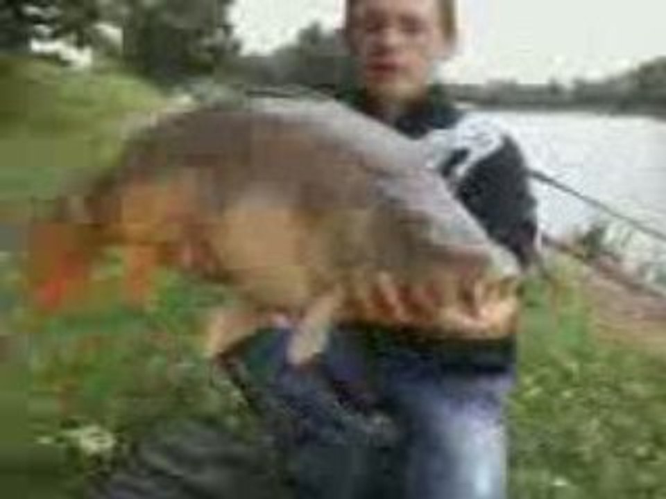 carpe de 12kg