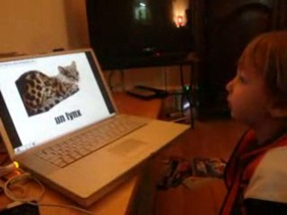 les animaux