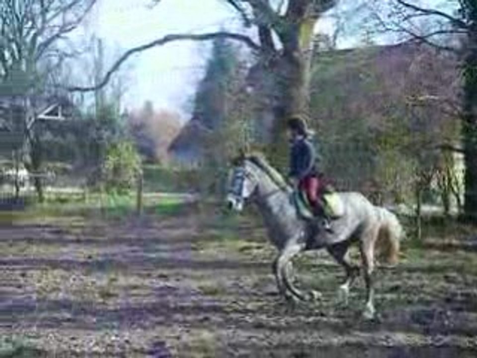 Rally de la Crimée