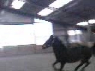 Ma BiBiche a un petit délire en liberté =D