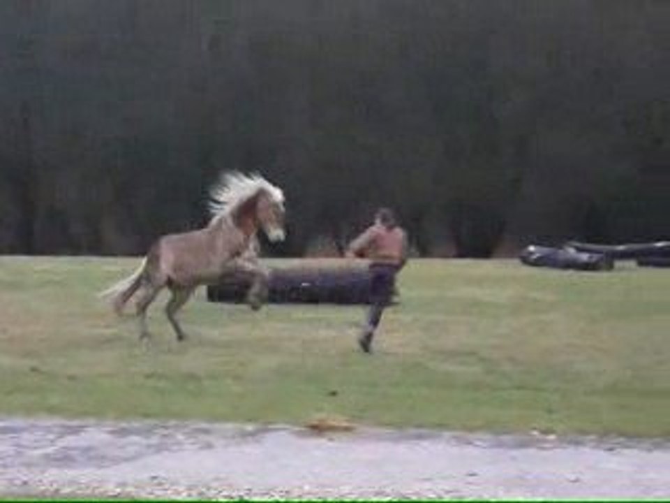 PAULINE & NAIADE - 09/02/2009