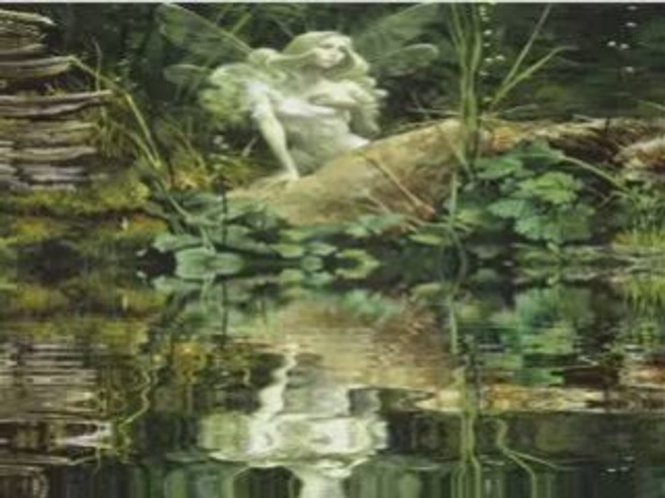 Seazo  nature's law