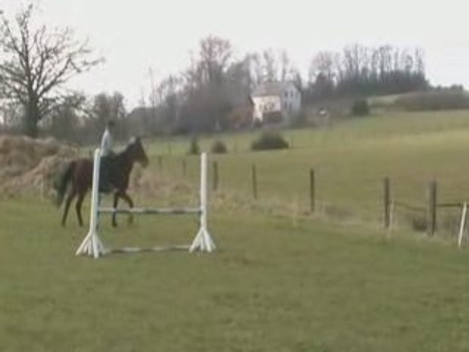 Ki 95cm 28.02.09