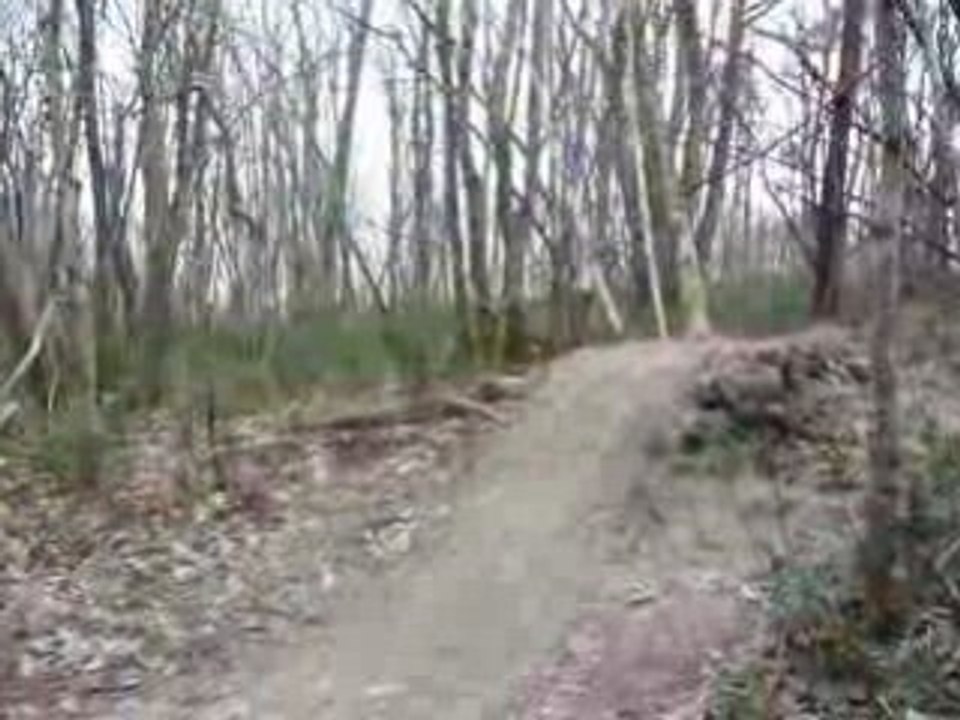 Langoiran 01-03-2009 018