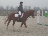 Détente concours dressage fleury 02 2009