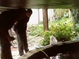 bassin esturgon et carpe