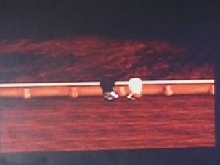 Harvest Moon Back to Nature For Girls Story