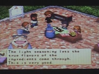 Harvest Moon Back to Nature Cooking Festival