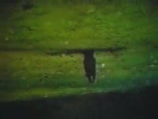 voo território