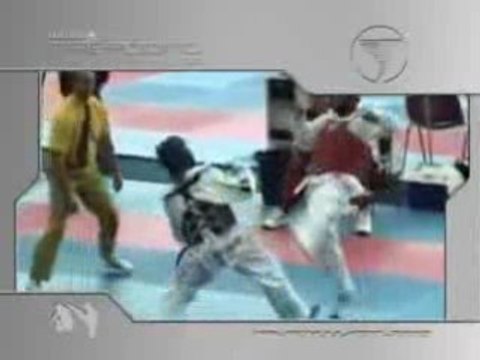 Taekwondo