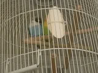 Noche stands up for herself!