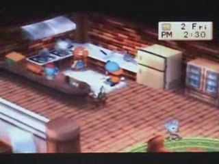 The Mad Stages of a Harvest Moon Wife