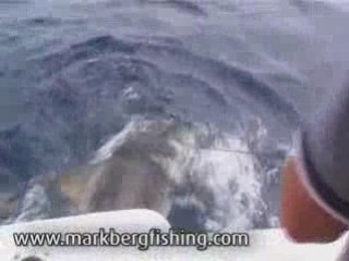 Mark Berg Takes On A Tiger Shark