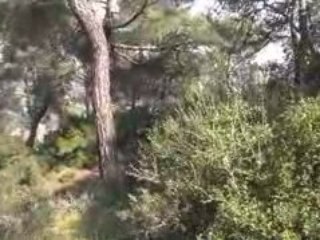 Salihli  Sardes yöresi