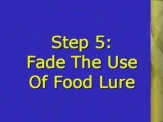 "Play Dead" Dog Trick