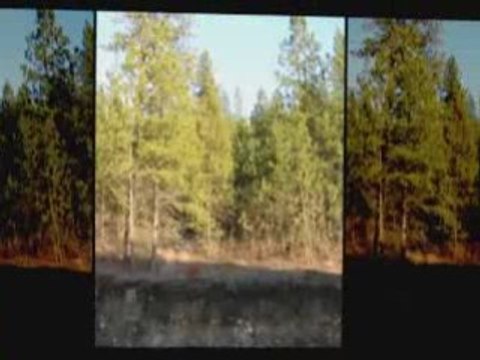 Spokane Homes For Sale - 1121 Dunbarton Oaks Lane