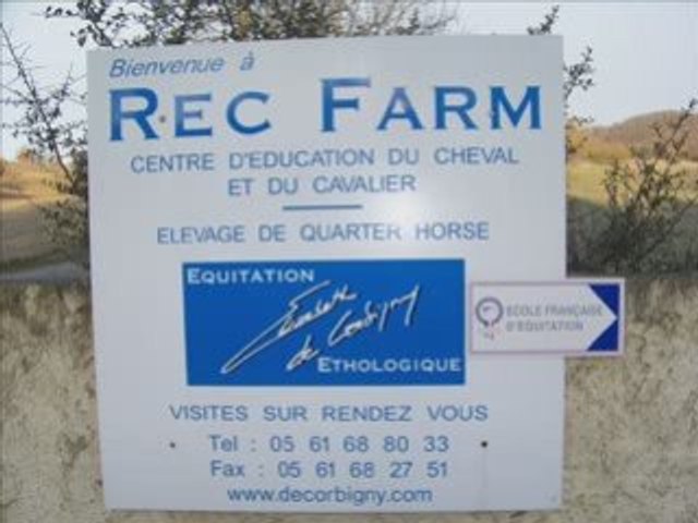 Equitation éthologique à Rec Farm