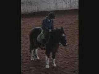 Cour de Saut du Dimanche 11.01.2009