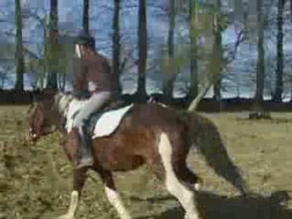 Mars02 2009 1er obstacle indiana