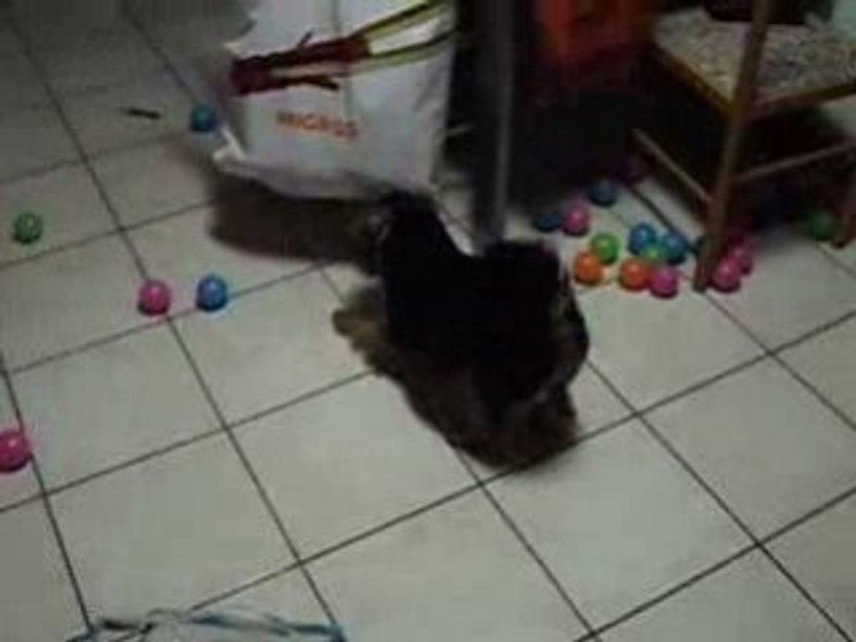 Mon 1er Noël (2006)