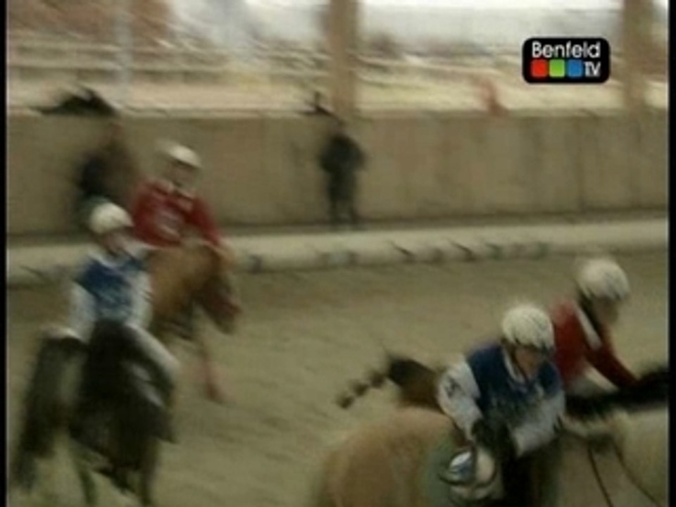 Horse Ball Alsace: reportage journée Ferme Fritz