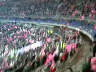 Stade Français - Perpignan