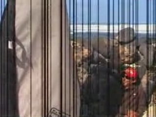 wave ski aux canaries avec la kermesse