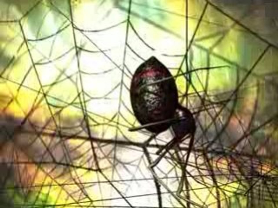 PaulBriois DemoReel 2008