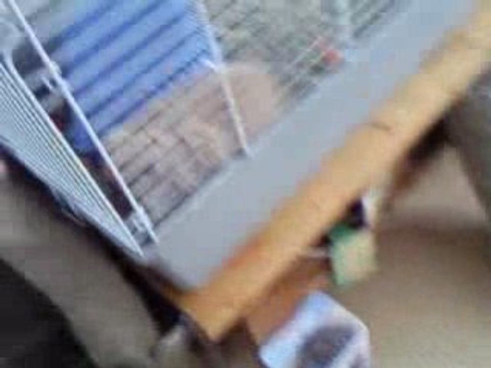 Video0026