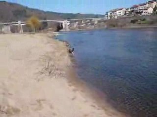 Daya au bord de la Loire